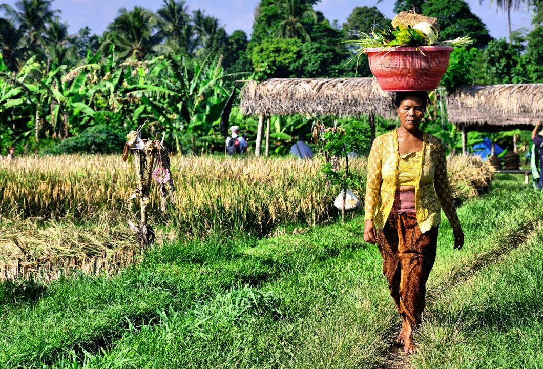 Tropisches Java & Bali