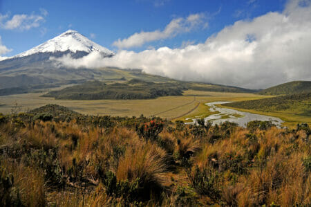 Cotopaxi Nationalpark