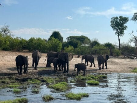 Namibia Botswana Simbabwe Rundreise | Vögele Reisen